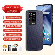 歐奇OUKITEL歐奇WP50三防手機(jī)全網(wǎng)通5G安卓智能大屏防水防摔輕薄無線 WP50-藍(lán)色 全網(wǎng)通5G（國際版） 官方標(biāo)配