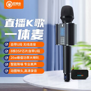 屁顛蟲（Hifier） G20無線話筒音響一體麥克風(fēng)全民K歌手機(jī)直播聲卡套裝家庭KTV汽車唱歌帶U段 G20+抖音神器