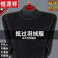 恒源祥貂絨毛衣男翻高領(lǐng)冬季中年加絨加厚純色休閑保暖打底衫休閑保暖 墨綠色-翻高領(lǐng) 927 XL [建議135-150斤]