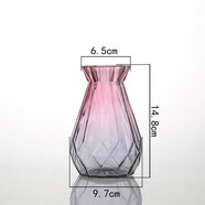 神瓶八玻玻璃花瓶擺件家用玻璃瓶客廳透明創(chuàng  )意插花瓶家居歐式小清新水培瓶 15鉆石紫灰