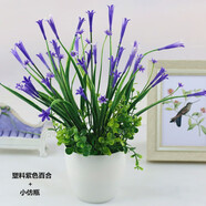 伊芙美 仿真花蘭花套裝假花擺件塑料花含塑料花瓶干花花束仿真植物盆景客廳陽(yáng)臺(tái)餐桌裝飾花盆栽 塑料紫色百合+小仿瓶