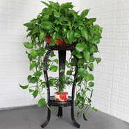 火月亮 歐式花架鐵藝多層陽(yáng)臺(tái)花架子室內(nèi)綠蘿花盆架子吊蘭多功能地面 黑色(80CM)