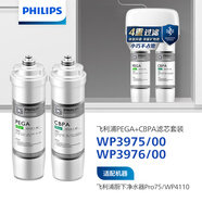 飛利浦（PHILIPS）家用凈水器WP4110/PRO75原裝復(fù)合活性炭WP3975+WP3976濾芯套裝 （含附件共兩支）