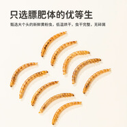 若宸智慧農(nóng)業(yè)鸚鵡面包蟲(chóng)補(bǔ)充動(dòng)物蛋白 面包蟲(chóng)干250ml瓶裝