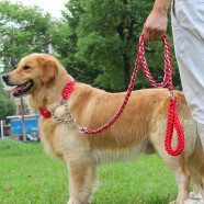 SLPC狗绳金毛狗链子中大型犬p绳项圈遛狗绳哈士奇边牧马犬宠物牵引绳 红色 S号适合5到15斤