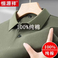 恒源祥純棉短袖T恤男士2025夏季polo.衫翻領(lǐng)純色寬松休閑中年體恤上衣男 M89605短 袖綠色|純棉100%品牌旗艦款 2XL 180 建議150-165斤 高檔品牌男裝