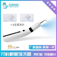 松鼠齒科牙科根管蕩洗器口腔根管無線超聲波蕩洗筆蕩洗針工作尖取斷針去除鈣化合物牙周清潔超強蕩洗根管沖洗 鼎格蕩洗筆