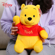 迪士尼（Disney）毛絨玩具維尼熊公仔抱枕六一兒童節(jié)禮物送情人節(jié)禮物女生生日禮物女 12號小熊維尼清新款