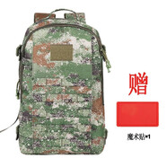 蟻行客 新式迷彩作訓(xùn)包戰(zhàn)術(shù)雙肩背包 登山野營騎行旅行訓(xùn)練突擊包三級(jí)包 星林色 標(biāo)準(zhǔn)碼