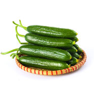 京詩(shī)悅水果小黃瓜5斤裝新鮮 無(wú)刺小青瓜當季孕婦生吃蔬菜3斤裝 5斤