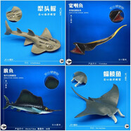 林暢模玩兒童海洋生物玩具塑膠模型鱟頭鰩波口魟仿真鰩魚動物世界認知擺件 圓犁頭鰩+寬咽魚+旗魚+蝠鲼