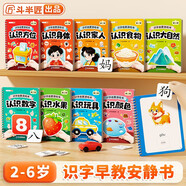 斗半匠 識字啟蒙游戲書 早教益智安靜書 幼兒園認(rèn)字看圖識字卡片魔術(shù)貼全套兒童益智游戲撕拉書【10本】 