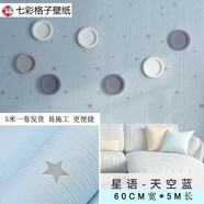 七彩格子墻紙自粘臥室溫馨大學(xué)生宿舍寢室ins森系簡(jiǎn)約現代家用星星純色壁紙3D防水客廳背景墻面翻新貼紙 天空藍7704 0.6米*5米 多件不裁斷