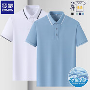 羅蒙（ROMON）兩件裝短袖t恤男翻領(lǐng)夏季新款冰絲透氣polo領(lǐng)打底男士商務(wù)體恤衫 白色+灰綠 XL