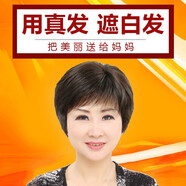 尚美萊（SOMOLY） 假發(fā)女短發(fā)遮白發(fā)中老年真發(fā)女士短直發(fā)全頭套媽媽假發(fā)套頭頂少 真發(fā)-手織頂心-均碼- 自然黑/ 短發(fā)