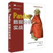 Pandas數據分析實(shí)戰/大數據應用與技術(shù)叢書(shū)