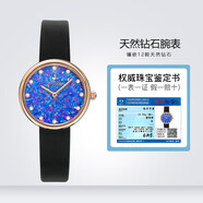 rorolove12顆天然鉆石女士學(xué)生手表 簡(jiǎn)約潮流腕表 送女友閨蜜七夕禮物  星宿紫 32mm表盤