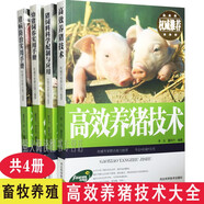 高效養(yǎng)豬系列 全4冊 高效養(yǎng)豬技術 豬病防治實用手冊 豬飼料科學配制與應用 幼豬飼養(yǎng)實用手冊養(yǎng)殖書籍