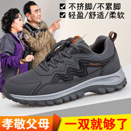 足立健足力健春秋老人鞋男網(wǎng)面中老年健步鞋爸爸防滑軟底運(yùn)動(dòng)旅游女鞋 9206深灰男 【腳感升級舒適】 42 標(biāo)準(zhǔn)運(yùn)動(dòng)足力健鞋