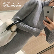 Radinka2024秋冬新款修身韓版過(guò)膝高領(lǐng)毛衣裙氣質(zhì)簡(jiǎn)約打底女針織連衣裙 灰色 S
