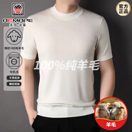 AEMAPE高端精紡100純羊毛打底衫男士半高領(lǐng)短袖t恤男春秋毛衣半袖針織 白色 120/2XL