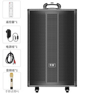 索愛 (soaiy)SA-T55/T30拉桿音響戶外廣場舞電視電腦投影儀手機唱歌音響會議主持促銷演講藍牙音響 SA-T53(12英寸）配1個無線話筒