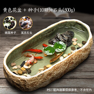 寵小帥 古法養(yǎng)魚缸生態(tài)造景碗蓮陶瓷盆陽臺水培池家用客廳小型裝飾荷花睡花盆小烏龜缸庭院復古仿石頭魚缸 【陶瓷盆釉土黃】碗蓮種子10顆+溪流石500g