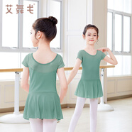 艾舞戈兒童舞蹈服春秋練功女童跳舞衣幼兒園寶寶連體芭蕾舞裙中國舞服裝 【軟網(wǎng)】豆綠-短袖 120 碼 高105-110cm重30-38斤