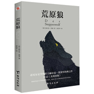 正版荒原狼赫爾曼黑塞自傳體長篇小說荒野之狼書原版原著無刪減中