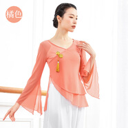 共妍舞蹈服女成人藝考仙氣飄逸舞蹈服裝彈力網(wǎng)紗古典舞身韻練功服春夏 橘色 L