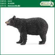 COLLECTA英國CollectA我你他仿真野生動(dòng)物合集模型玩具認知 88698美洲黑熊