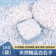 憨憨樂(lè)園水族魚缸底砂白石子1kg造景裝飾族園藝綠植裝飾植物鋪面小石頭