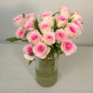 芊芊細語(yǔ)斗南基地直批發(fā)玫瑰鮮花全國速遞配送女友禮物家用水養插花家庭 洛神玫瑰18支+2支防損