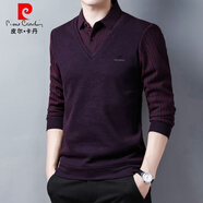 皮爾卡丹（pierre cardin）襯衫領(lǐng)假兩件套男秋季長(zhǎng)袖t恤加絨毛衣假領(lǐng)上衣條紋襯衣針織 T9832紫紅 常規(guī) XL 175體重130斤-145斤