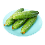 旱黃瓜500g