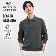 七匹狼長(cháng)袖Polo衫男裝衣服上衣翻領(lǐng)體恤多彩固色T恤衫秋季衣服 002(黑灰)1D1D XL 175/92A