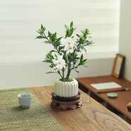八芽小葉梔子花盆栽開花植物室內(nèi)桌面茶幾好養(yǎng)花卉綠植辦公室凈化空氣 梔子花-陶瓷豎紋盆-紫砂托-圓托 帶盆栽好