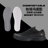 適配Arcteryx f1/始祖鳥鞋墊戶外攀登跑步專用減震耐磨透氣防臭F2 【踩屎感】灰色 43碼