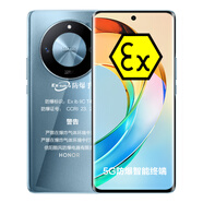榮耀（HONOR）X50酷風(fēng)定制版防爆手機(jī)石油化工廠醫(yī)藥專用手機(jī)驍龍6超長待機(jī)一億像素12+256G 防爆定制版（X50) 12G+256G