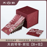 揚州天韻琴箏163通用古箏琴弦潤韻天韻紫弦 2號