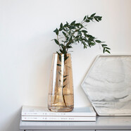 木子西年玻璃花瓶裝飾擺件 北歐式ins風(fēng)小清新透明插花瓶 干花仿真花假花水培花器家居裝飾品 【琥珀色】玻璃花瓶(高約22厘米) 參考詳情