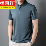 恒源祥短袖t恤男士春秋冰i絲感真i絲polo衣衫大尺碼寬 松百搭時尚 蘭灰  180【建議155-170斤穿】