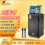 丹嘜仕K- 350S,K-350戶(hù)外音響帶顯示屏立體聲視頻機戶(hù)外K歌專(zhuān)用移動(dòng)卡拉OK大功率廣場(chǎng)舞音箱一體機 H-350S（500G）官方套餐+大禮包