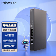 磊科（netcore）NBR100企業(yè)有線路由器 全千兆多WAN口 支持寬帶疊加/負載均衡/云端管理 穩(wěn)定帶機100臺