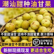 良知農(nóng)哥 【順豐】現(xiàn)摘新果 潮汕新鮮油甘果 牛甘果余甘果油柑果子滇橄欖 甜種油甘丨順豐空運(yùn) 1斤