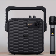 飛利浦（philips）SD60 新款廣場舞音響家用卡拉OK歌直播藍牙音箱戶外演出重低音大喇叭 黑色+單只麥克