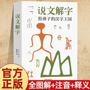 說文解字 給孩子的漢字王國 中華歷史漢字甲骨文字演變圖解象形文字書古代漢字