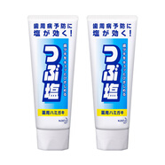 獅王日本獅王DENTOR漢方鹽牙膏清新口氣減輕出血大粒鹽護齦牙膏 鹽牙膏*2支