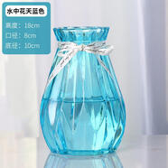 神瓶八玻玻璃花瓶擺件家用玻璃瓶客廳透明創(chuàng)意插花瓶家居歐式小清新水培瓶 18水中花天藍(lán)