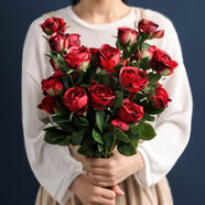 貝漢美（BHM）仿真玫瑰花客廳花瓶擺件假花花束仿真花擺件餐桌裝飾花 5支玫紅（1支含6朵花頭） 如圖